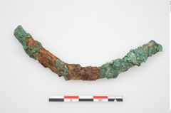 Foto von Bronzeschaukelfußreif (NHMW-PRAE-026631)